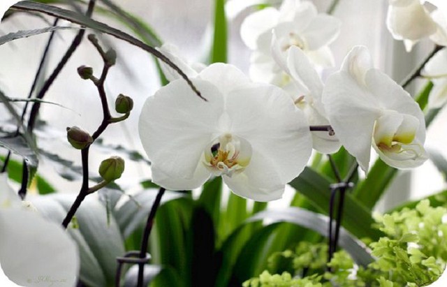 Một số điều kiêng kỵ khi về nhà mới bạn nên tránh để không gặp xui xẻo - Ảnh 2. Một số điều kiêng kỵ khi về nhà mới bạn nên tránh để không gặp xui xẻo - Ảnh 2.