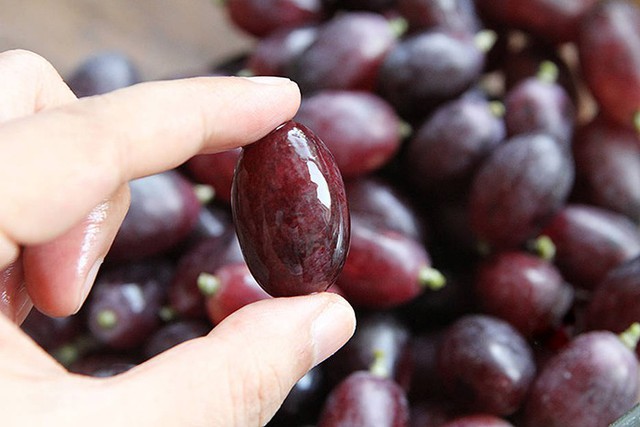 Mẹo rửa nho sạch an to&agrave;n , tự tin ăn cả vỏ - Ảnh 5.