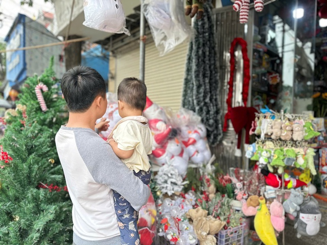 Thông tươi giá rẻ được chị em ‘săn đón’ trang trí dịp Giáng sinh 2025 - Ảnh 1. Thông tươi giá rẻ được chị em ‘săn đón’ trang trí dịp Giáng sinh 2025 - Ảnh 1.