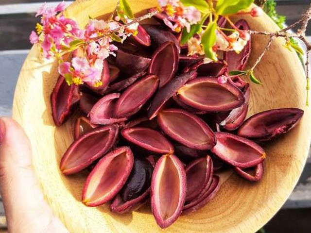 Loại quả bắt đầu vào mùa, vừa hỗ trợ phát triển chiều cao, lại vừa bảo vệ gan, chế biến thành nhiều món ngon - Ảnh 3. Loại quả bắt đầu vào mùa, vừa hỗ trợ phát triển chiều cao, lại vừa bảo vệ gan, chế biến thành nhiều món ngon - Ảnh 3.