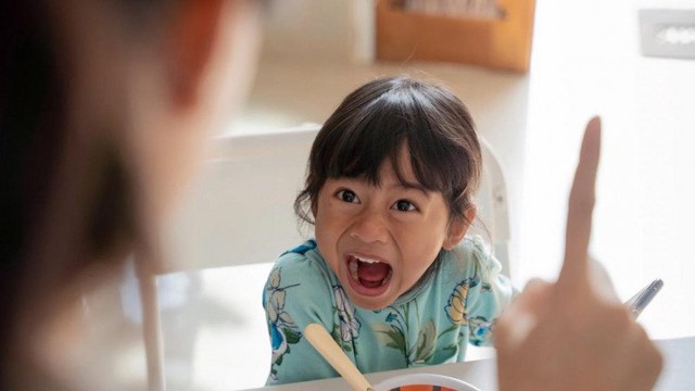 Những đứa trẻ thường xuyên bị la mắng có những thay đổi đáng kinh ngạc về chỉ số IQ - Ảnh 6. Những đứa trẻ thường xuyên bị la mắng có những thay đổi đáng kinh ngạc về chỉ số IQ - Ảnh 6.