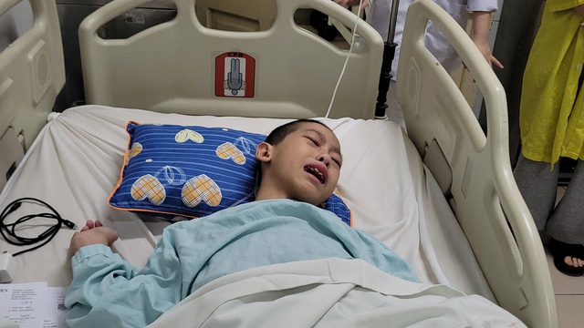 Vòng tay nhân ái hỗ trợ bé Bùi Minh Tiến vượt khó khăn bệnh tật - Ảnh 2. Vòng tay nhân ái hỗ trợ bé Bùi Minh Tiến vượt khó khăn bệnh tật - Ảnh 2.