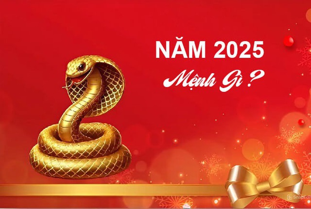 Năm 2025 mệnh gì, hợp với tuổi nào, đâu là màu sắc mang lại may mắn? - Ảnh 1.