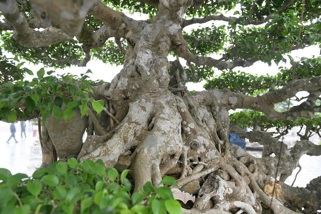 Ngắm loạt tác phẩm tiền tỷ được trưng bày ở đền Trần Nam Định trước ngày khai hội - Ảnh 14.