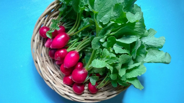 Loại củ chứa chất chống oxy hóa cao, giúp đẹp da, chống lão hóa - Ảnh 2. Loại củ chứa chất chống oxy hóa cao, giúp đẹp da, chống lão hóa - Ảnh 2.