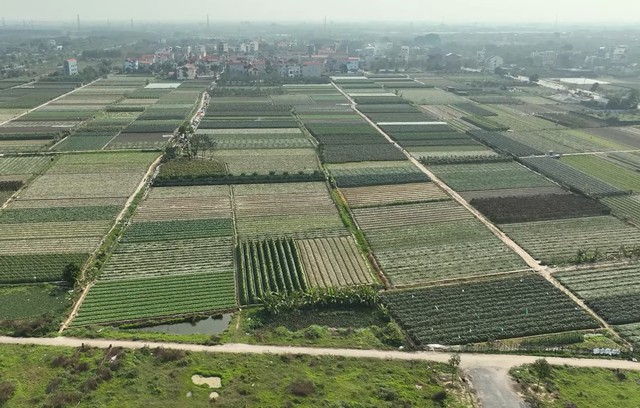 Những trường hợp này sẽ không được cấp sổ đỏ năm 2025 theo quy định mới nhất của Luật Đất đai - Ảnh 2. Những trường hợp này sẽ không được cấp sổ đỏ năm 2025 theo quy định mới nhất của Luật Đất đai - Ảnh 2.