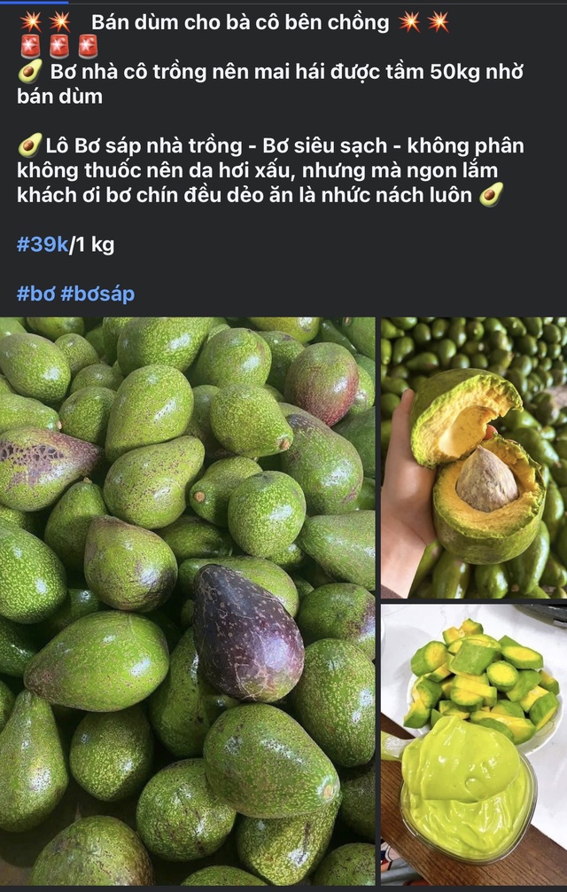 Loại quả được ví là ‘siêu thực phẩm’ vào mùa, chị em thi nhau đặt hàng chiêu đãi cả nhà - Ảnh 5. Loại quả được ví là ‘siêu thực phẩm’ vào mùa, chị em thi nhau đặt hàng chiêu đãi cả nhà - Ảnh 5.