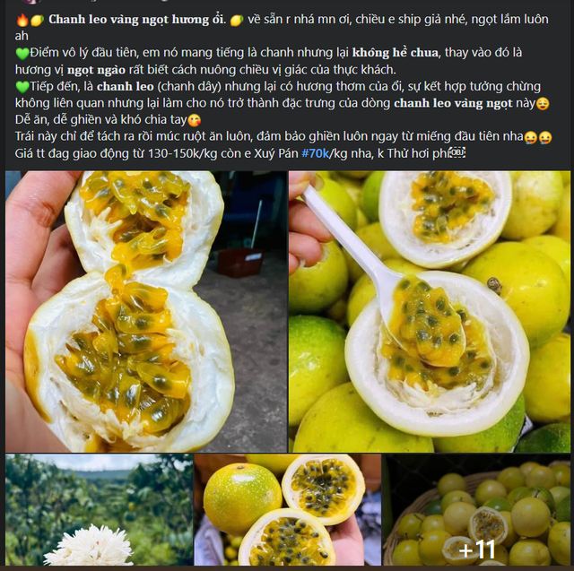 Loại quả giúp giảm cân bán đầy chợ, siêu thị Việt giá 1kg chỉ bằng cốc trà sữa- Ảnh 9. Loại quả giúp giảm cân bán đầy chợ, siêu thị Việt giá 1kg chỉ bằng cốc trà sữa- Ảnh 9.
