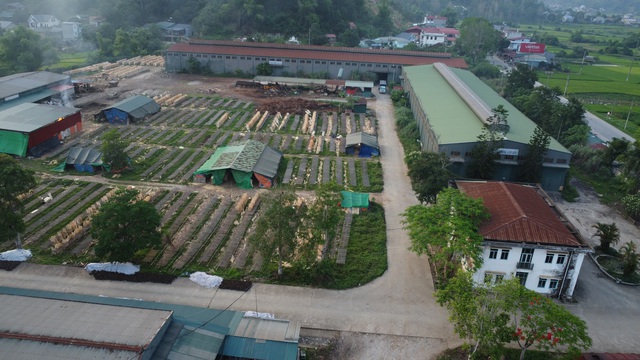 dji0608-17473915088411791108645.jpg