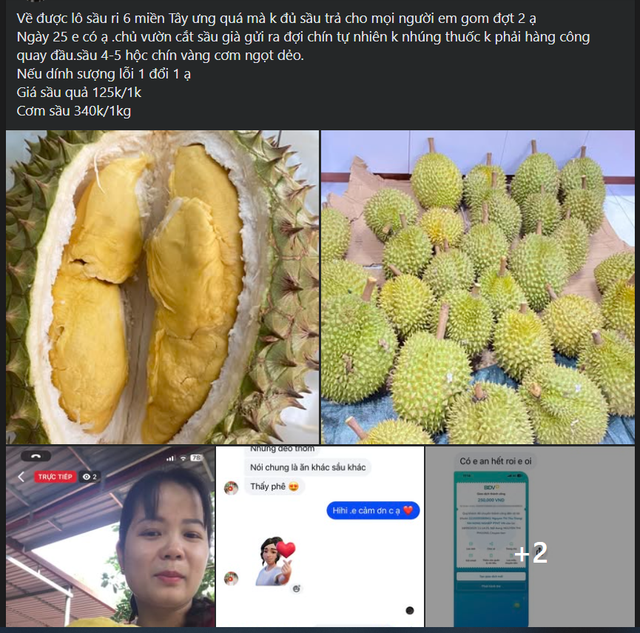 Loạn giá sầu riêng, nơi bán vài chục nghìn nơi hàng trăm nghìn đồng/kg- Ảnh 6. Loạn giá sầu riêng, nơi bán vài chục nghìn nơi hàng trăm nghìn đồng/kg- Ảnh 6.