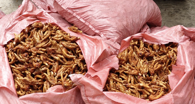 Kinh hoàng hơn 1.500kg chân gà nhiều 'không', ngả màu nâu đen, suýt đến tay người tiêu dùng- Ảnh 2. Kinh hoàng hơn 1.500kg chân gà nhiều 'không', ngả màu nâu đen, suýt đến tay người tiêu dùng- Ảnh 2.
