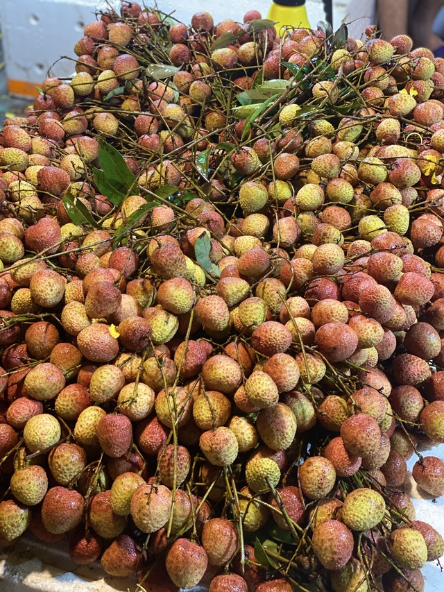 Vải u đầu mùa giá cao chót vót nhưng vẫn đắt khách tìm mua- Ảnh 1. Vải u đầu mùa giá cao chót vót nhưng vẫn đắt khách tìm mua- Ảnh 1.