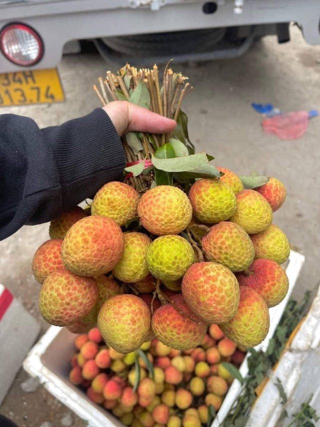 Vải u đầu mùa giá cao chót vót nhưng vẫn đắt khách tìm mua- Ảnh 14. Vải u đầu mùa giá cao chót vót nhưng vẫn đắt khách tìm mua- Ảnh 14.