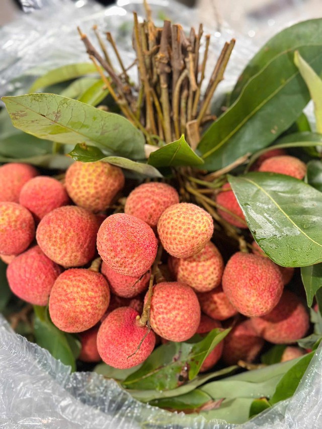 Vải u đầu mùa giá cao chót vót nhưng vẫn đắt khách tìm mua- Ảnh 13. Vải u đầu mùa giá cao chót vót nhưng vẫn đắt khách tìm mua- Ảnh 13.