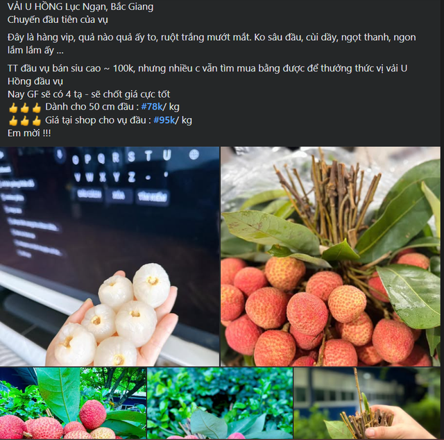 Vải u đầu mùa giá cao chót vót nhưng vẫn đắt khách tìm mua- Ảnh 4. Vải u đầu mùa giá cao chót vót nhưng vẫn đắt khách tìm mua- Ảnh 4.
