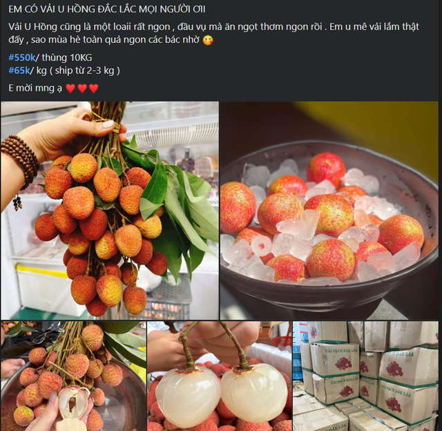 Vải u đầu mùa giá cao chót vót nhưng vẫn đắt khách tìm mua- Ảnh 7. Vải u đầu mùa giá cao chót vót nhưng vẫn đắt khách tìm mua- Ảnh 7.