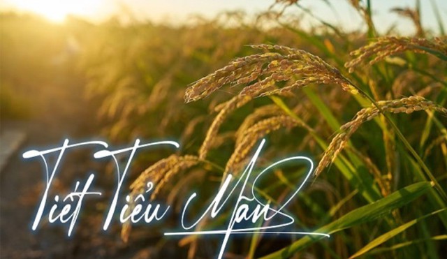 Từ ngày 21/5 đến 5/6/2025 nên làm điều sau để thu hút tài lộc, sức khỏe, mọi việc hanh thông- Ảnh 2. Từ ngày 21/5 đến 5/6/2025 nên làm điều sau để thu hút tài lộc, sức khỏe, mọi việc hanh thông- Ảnh 2.