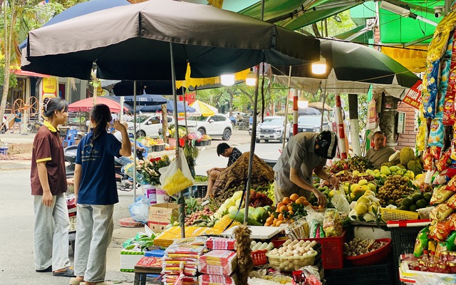 Một loại cam Việt vào mùa giá rẻ bèo, tiểu thương tiêu thụ vài tạ mỗi ngày - Ảnh 8. Một loại cam Việt vào mùa giá rẻ bèo, tiểu thương tiêu thụ vài tạ mỗi ngày - Ảnh 8.