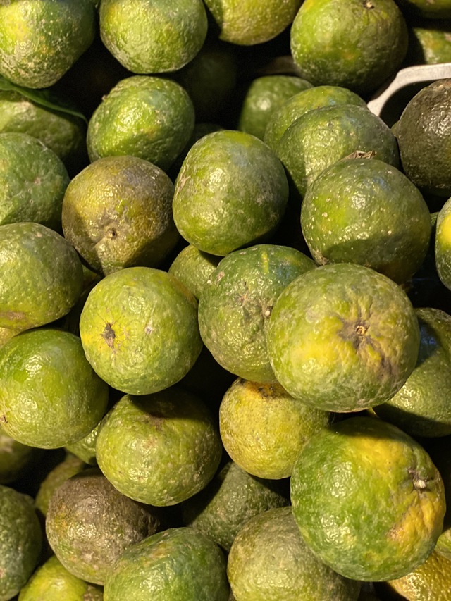 Một loại cam Việt vào mùa giá rẻ bèo, tiểu thương tiêu thụ vài tạ mỗi ngày - Ảnh 13. Một loại cam Việt vào mùa giá rẻ bèo, tiểu thương tiêu thụ vài tạ mỗi ngày - Ảnh 13.