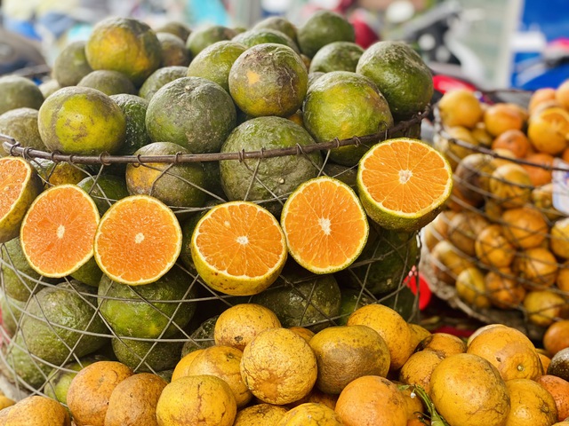 Một loại cam Việt vào mùa giá rẻ bèo, tiểu thương tiêu thụ vài tạ mỗi ngày - Ảnh 5. Một loại cam Việt vào mùa giá rẻ bèo, tiểu thương tiêu thụ vài tạ mỗi ngày - Ảnh 5.