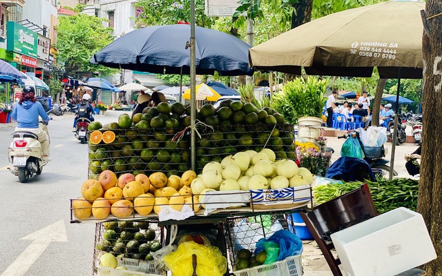 Một loại cam Việt vào mùa giá rẻ bèo, tiểu thương tiêu thụ vài tạ mỗi ngày - Ảnh 4. Một loại cam Việt vào mùa giá rẻ bèo, tiểu thương tiêu thụ vài tạ mỗi ngày - Ảnh 4.