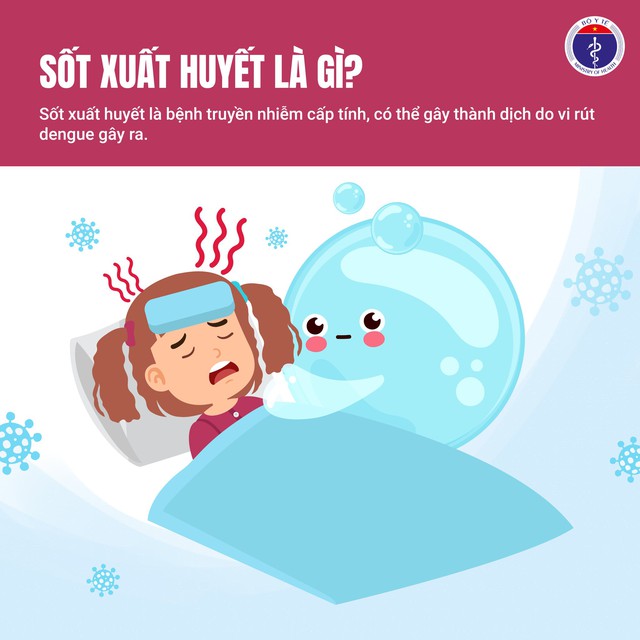 Dịch sốt xuất huyết có nguy cơ bùng phát, diễn biến phức tạp nếu người dân không chủ động phòng chống - Ảnh 1. Dịch sốt xuất huyết có nguy cơ bùng phát, diễn biến phức tạp nếu người dân không chủ động phòng chống - Ảnh 1.
