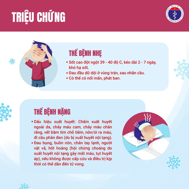 Dịch sốt xuất huyết có nguy cơ bùng phát, diễn biến phức tạp nếu người dân không chủ động phòng chống - Ảnh 3. Dịch sốt xuất huyết có nguy cơ bùng phát, diễn biến phức tạp nếu người dân không chủ động phòng chống - Ảnh 3.