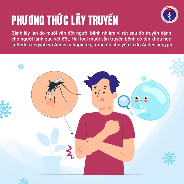 Dịch sốt xuất huyết có nguy cơ bùng phát, diễn biến phức tạp nếu người dân không chủ động phòng chống - Ảnh 2. Dịch sốt xuất huyết có nguy cơ bùng phát, diễn biến phức tạp nếu người dân không chủ động phòng chống - Ảnh 2.