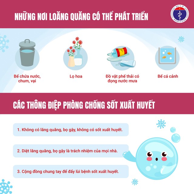 Dịch sốt xuất huyết có nguy cơ bùng phát, diễn biến phức tạp nếu người dân không chủ động phòng chống - Ảnh 5. Dịch sốt xuất huyết có nguy cơ bùng phát, diễn biến phức tạp nếu người dân không chủ động phòng chống - Ảnh 5.