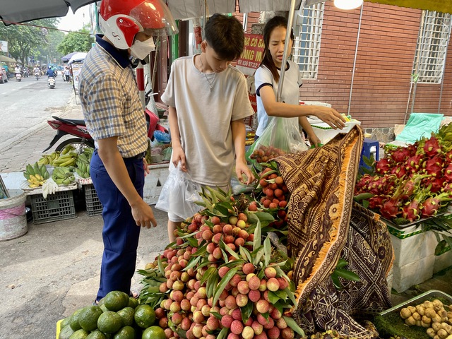 Vải u trứng trắng Hải Dương giá tiền trăm gây ‘sốt’ thị trường hoa quả Việt - Ảnh 7. Vải u trứng trắng Hải Dương giá tiền trăm gây ‘sốt’ thị trường hoa quả Việt - Ảnh 7.