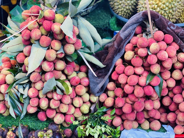 Vải u trứng trắng Hải Dương giá tiền trăm gây ‘sốt’ thị trường hoa quả Việt - Ảnh 8. Vải u trứng trắng Hải Dương giá tiền trăm gây ‘sốt’ thị trường hoa quả Việt - Ảnh 8.