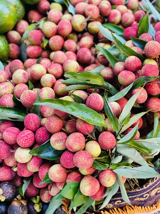 Vải u trứng trắng Hải Dương giá tiền trăm gây ‘sốt’ thị trường hoa quả Việt - Ảnh 9. Vải u trứng trắng Hải Dương giá tiền trăm gây ‘sốt’ thị trường hoa quả Việt - Ảnh 9.