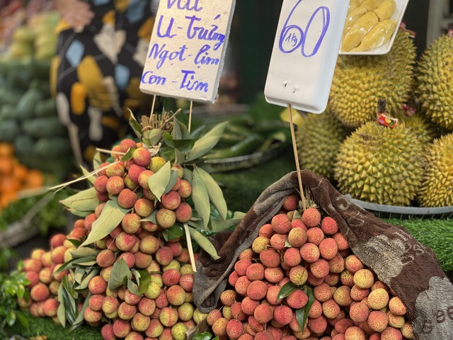 Vải u trứng trắng Hải Dương giá tiền trăm gây ‘sốt’ thị trường hoa quả Việt - Ảnh 4. Vải u trứng trắng Hải Dương giá tiền trăm gây ‘sốt’ thị trường hoa quả Việt - Ảnh 4.