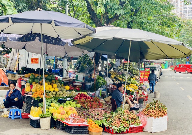 Vải u trứng trắng Hải Dương giá tiền trăm gây ‘sốt’ thị trường hoa quả Việt - Ảnh 5. Vải u trứng trắng Hải Dương giá tiền trăm gây ‘sốt’ thị trường hoa quả Việt - Ảnh 5.