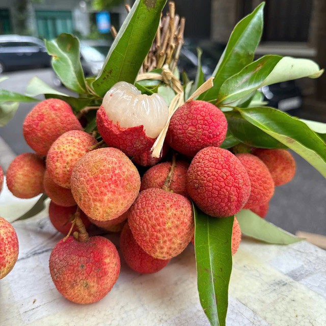 Vải u trứng trắng Hải Dương giá tiền trăm gây ‘sốt’ thị trường hoa quả Việt - Ảnh 10. Vải u trứng trắng Hải Dương giá tiền trăm gây ‘sốt’ thị trường hoa quả Việt - Ảnh 10.