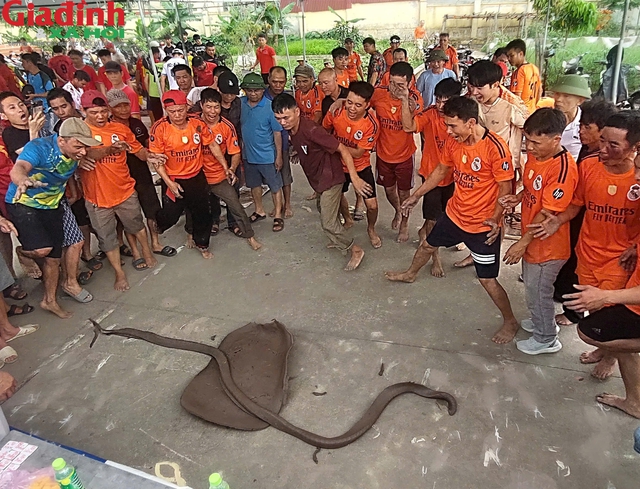 Rền vang pháo đất Hồng Châu- Ảnh 24. Rền vang pháo đất Hồng Châu- Ảnh 24.