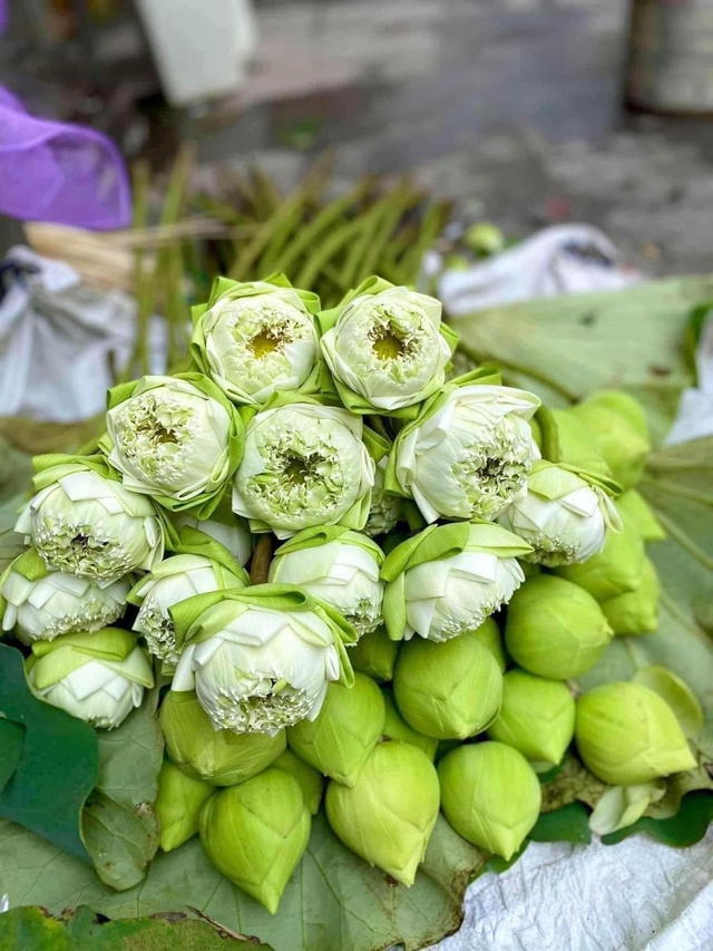 Cơm rượu nếp đắt khách dịp tết Đoan ngọ, hàng làm không đủ bán - Ảnh 11. Cơm rượu nếp đắt khách dịp tết Đoan ngọ, hàng làm không đủ bán - Ảnh 11.
