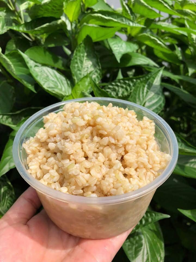 Cơm rượu nếp đắt khách dịp tết Đoan ngọ, hàng làm không đủ bán - Ảnh 8. Cơm rượu nếp đắt khách dịp tết Đoan ngọ, hàng làm không đủ bán - Ảnh 8.