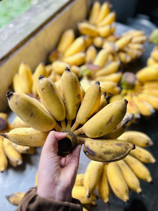 Loại quả được ví như ‘siêu thực phẩm’ bán đầy chợ Việt giá rẻ như cho- Ảnh 11. Loại quả được ví như ‘siêu thực phẩm’ bán đầy chợ Việt giá rẻ như cho- Ảnh 11.