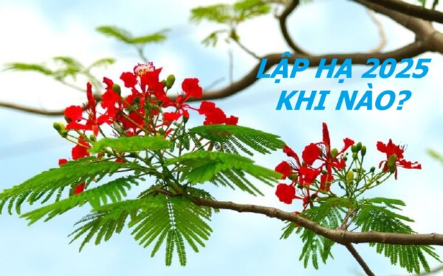 Lập Hạ 2025 và những đại kỵ không phải ai cũng biết để may mắn, tránh tán tài tán lộc- Ảnh 2. Lập Hạ 2025 và những đại kỵ không phải ai cũng biết để may mắn, tránh tán tài tán lộc- Ảnh 2.