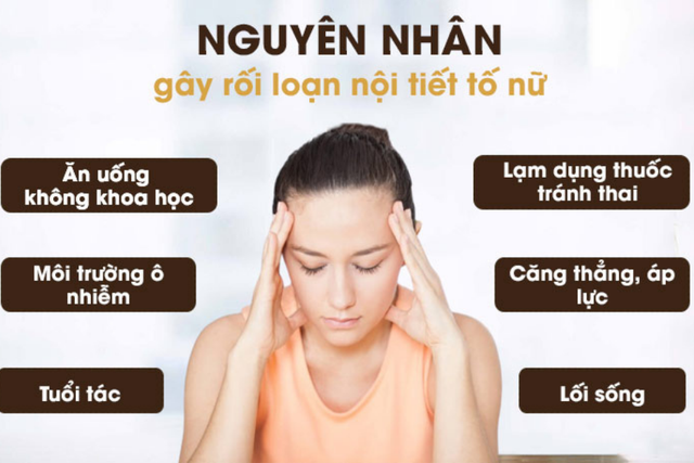 Nguyên nhân u nang xơ buồng trứng là gì?- Ảnh 2. Nguyên nhân u nang xơ buồng trứng là gì?- Ảnh 2.