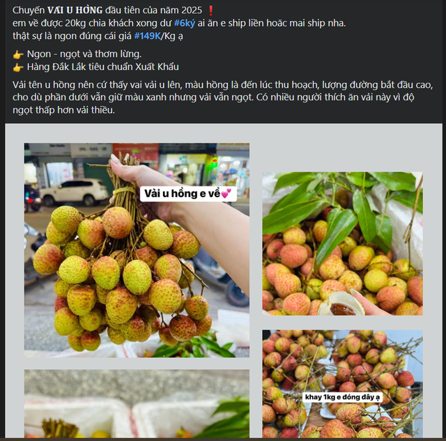 Vải u hồng đầu mùa giá đắt hơn sầu riêng, tiểu thương nhập hàng không đủ để bán- Ảnh 4. Vải u hồng đầu mùa giá đắt hơn sầu riêng, tiểu thương nhập hàng không đủ để bán- Ảnh 4.