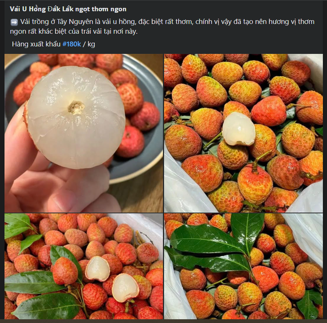 Vải u hồng đầu mùa giá đắt hơn sầu riêng, tiểu thương nhập hàng không đủ để bán- Ảnh 1. Vải u hồng đầu mùa giá đắt hơn sầu riêng, tiểu thương nhập hàng không đủ để bán- Ảnh 1.