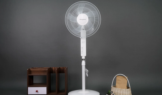 Cách chọn quạt cây để ‘giải nhiệt’ mùa hè - Ảnh 2. Cách chọn quạt cây để ‘giải nhiệt’ mùa hè - Ảnh 2.