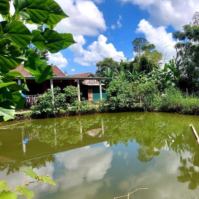 Đây là lý do trước nhà không nên có ao nước- Ảnh 2. Đây là lý do trước nhà không nên có ao nước- Ảnh 2.
