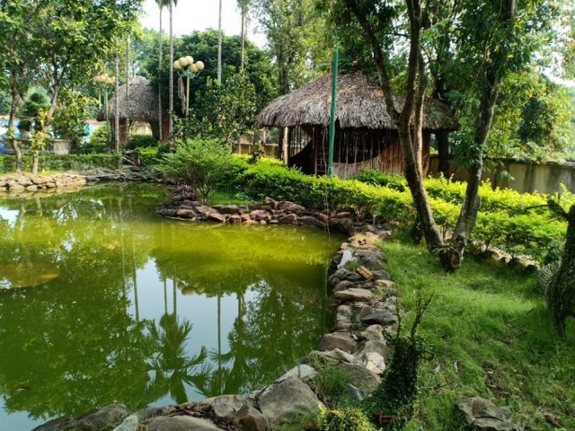 Đây là lý do trước nhà không nên có ao nước- Ảnh 3. Đây là lý do trước nhà không nên có ao nước- Ảnh 3.