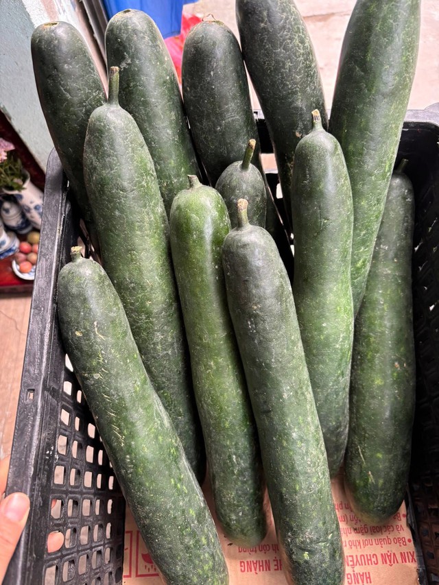 Loại quả được ví ‘vua giải nhiệt’ giá chỉ hơn 10.000 đồng/kg, ăn ngày hè này càng bổ dưỡng, kiểm soát đường huyết tốt- Ảnh 2. Loại quả được ví ‘vua giải nhiệt’ giá chỉ hơn 10.000 đồng/kg, ăn ngày hè này càng bổ dưỡng, kiểm soát đường huyết tốt- Ảnh 2.
