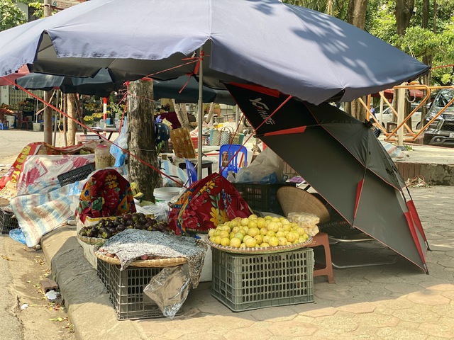 Chanh leo vàng hương ổi được chị em thi nhau săn đón giải nhiệt ngày hè- Ảnh 5. Chanh leo vàng hương ổi được chị em thi nhau săn đón giải nhiệt ngày hè- Ảnh 5.