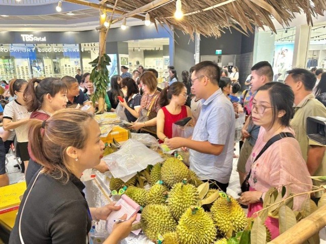 Lần đầu tiên có chuyến bay chở Sầu riêng Cần Thơ ra Hải Phòng tiêu thụ- Ảnh 1. Lần đầu tiên có chuyến bay chở Sầu riêng Cần Thơ ra Hải Phòng tiêu thụ- Ảnh 1.