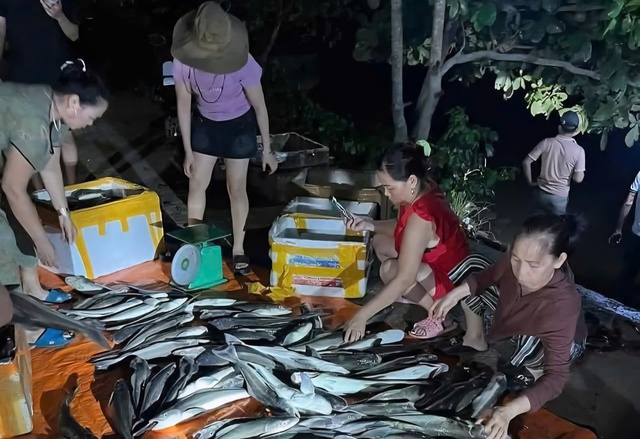 Cá nuôi lồng chết hàng loạt do mưa lớn, thiệt hại tiền tỷ- Ảnh 2. Cá nuôi lồng chết hàng loạt do mưa lớn, thiệt hại tiền tỷ- Ảnh 2.